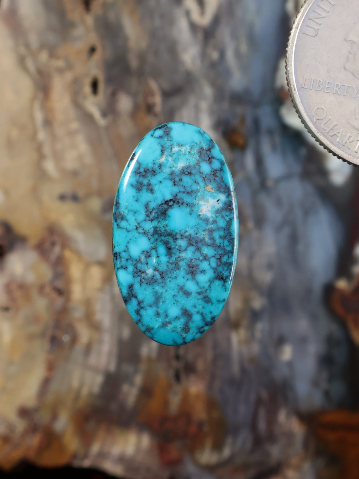 Oval turquoise cabochon gemstone with dark web matrix, polished