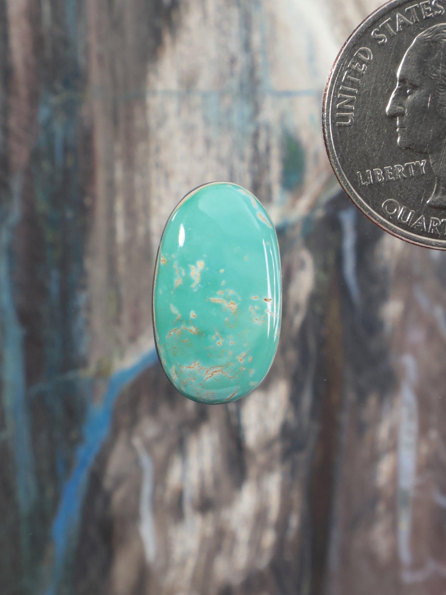 Oval turquoise cabochon gemstone with natural speckled matrix on display