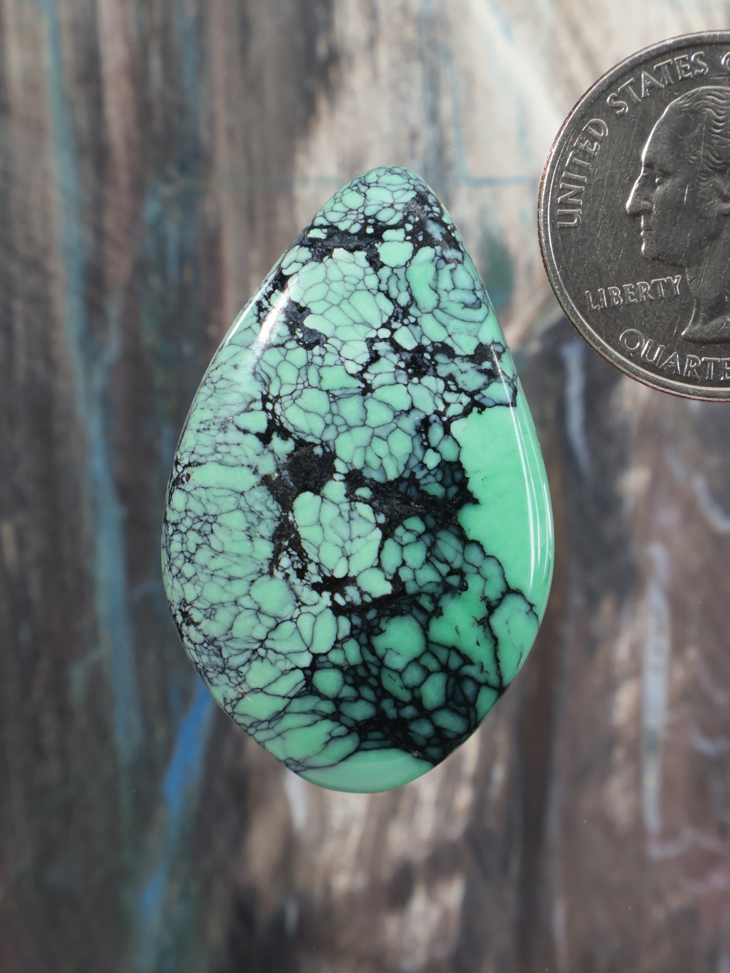 Teardrop variscite cabochon gemstone with green turquoise matrix webbing, polished