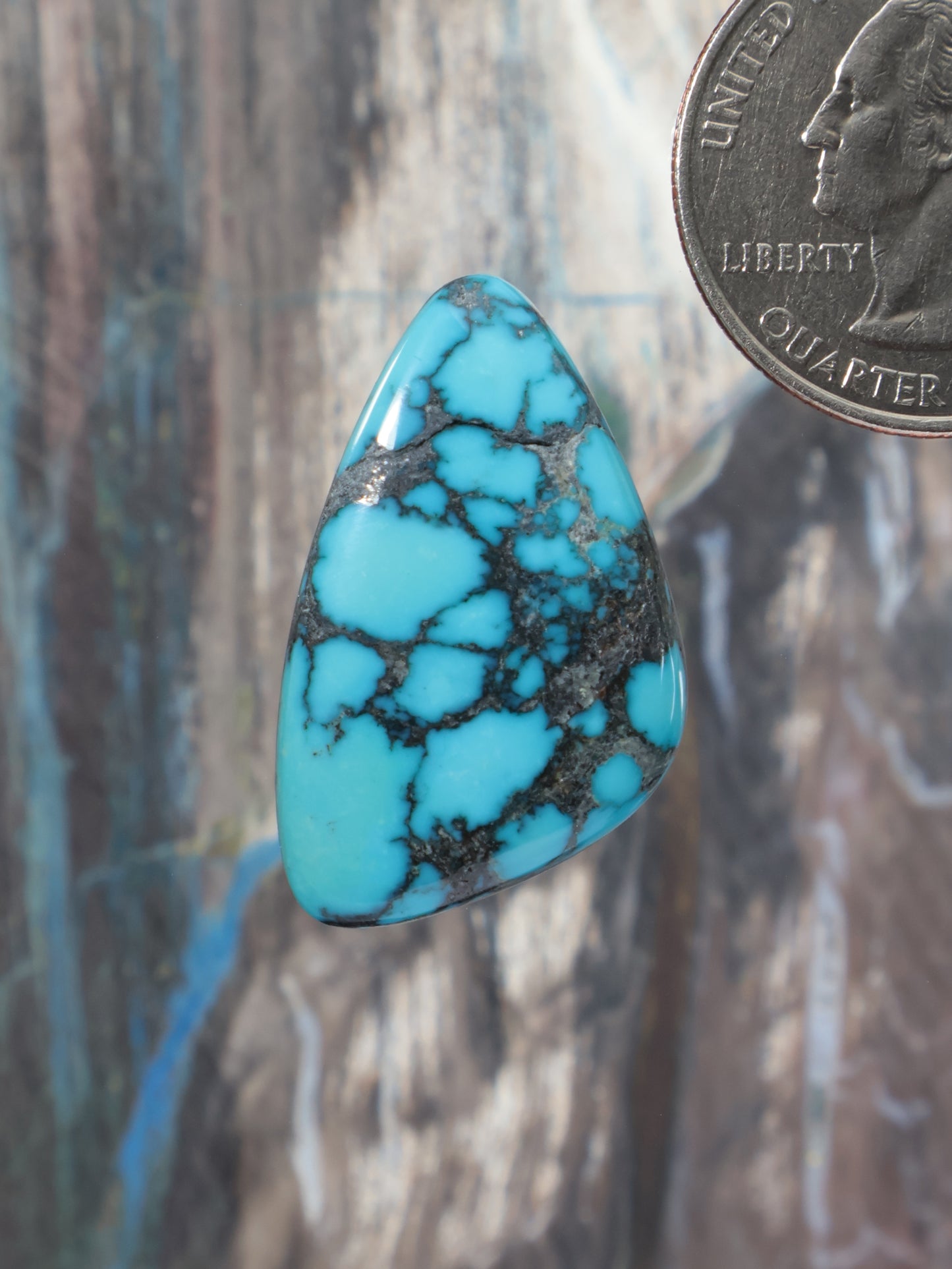 Turquoise cabochon teardrop with dark webbed matrix stone