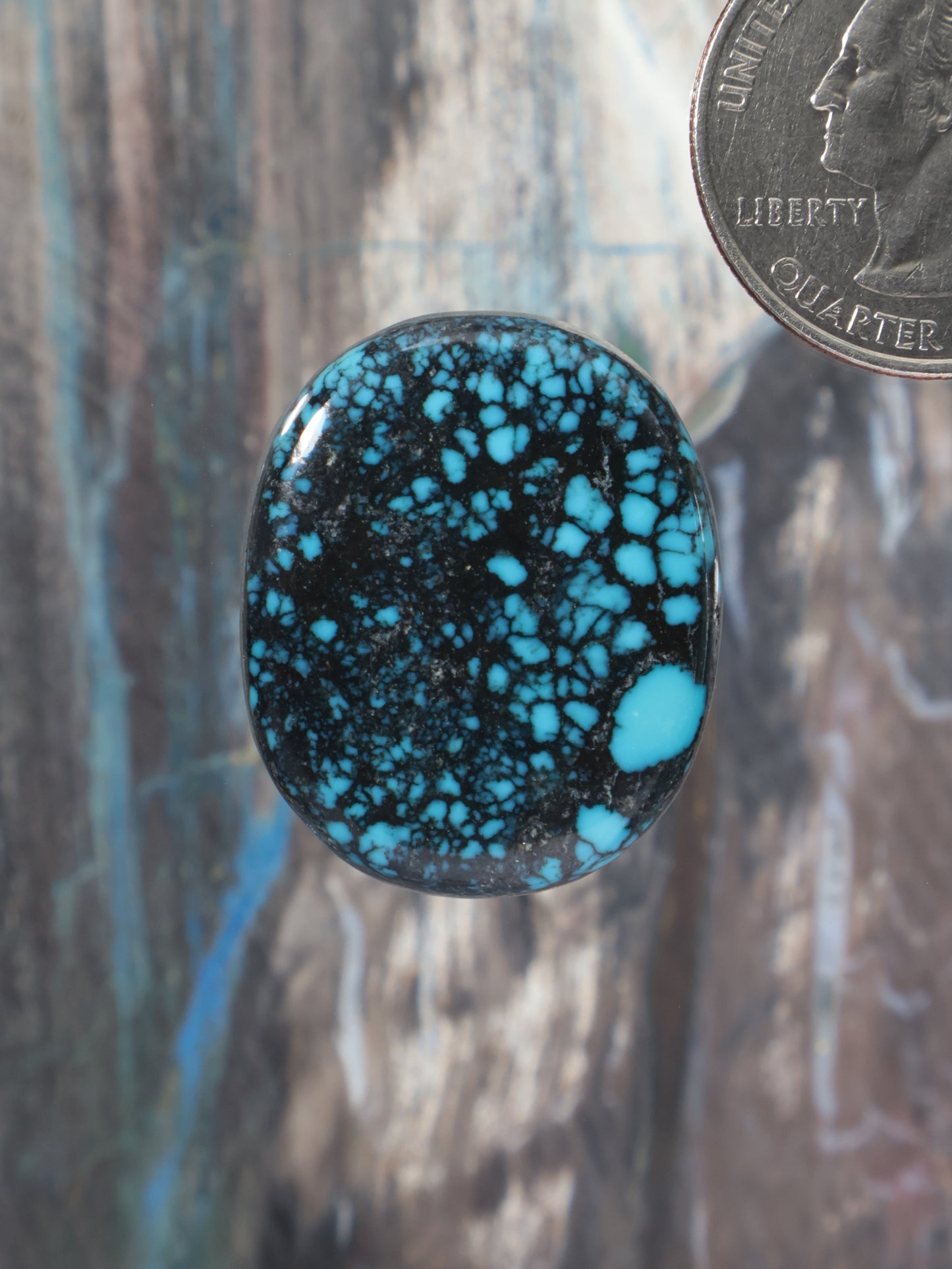 Turquoise cabochon gemstone with oval dome and dark black web pattern