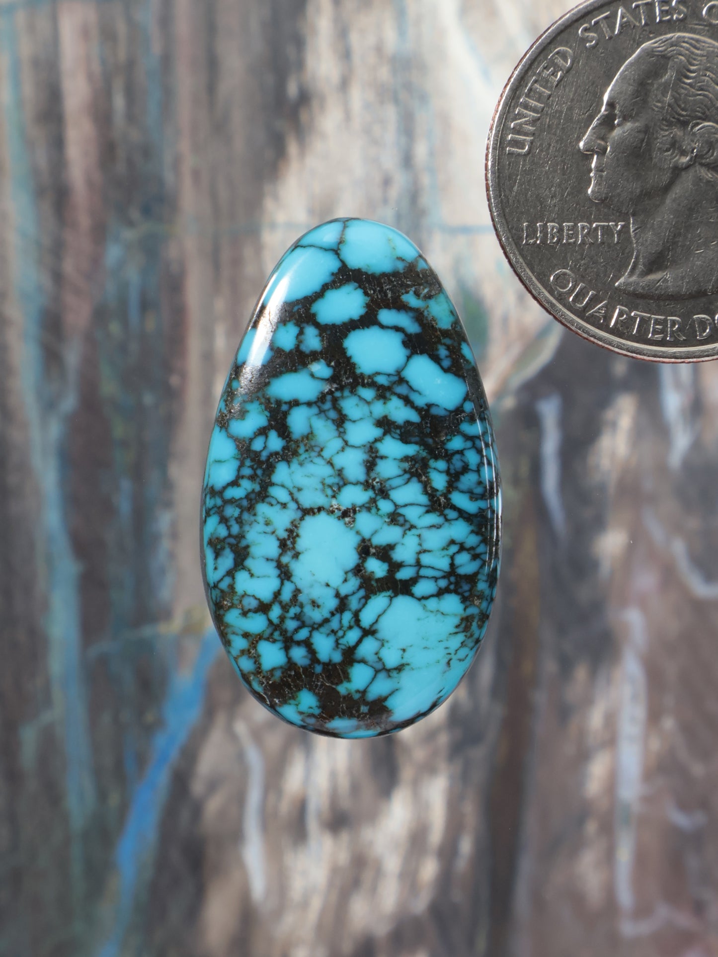 Oval turquoise cabochon with black web-like matrix pattern, viewed beside a coin