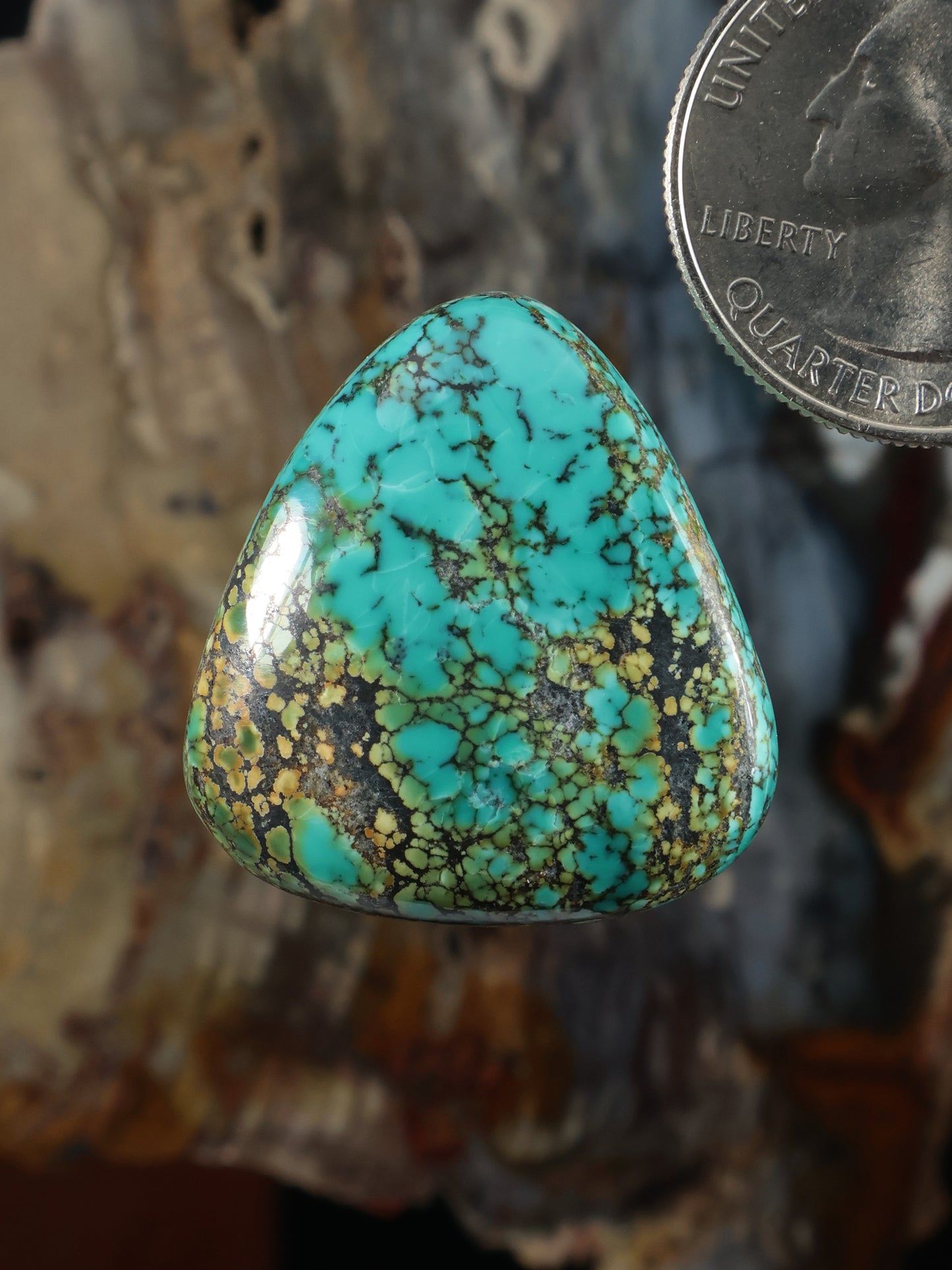 Turquoise teardrop cabochon gemstone with dark matrix webbing pattern