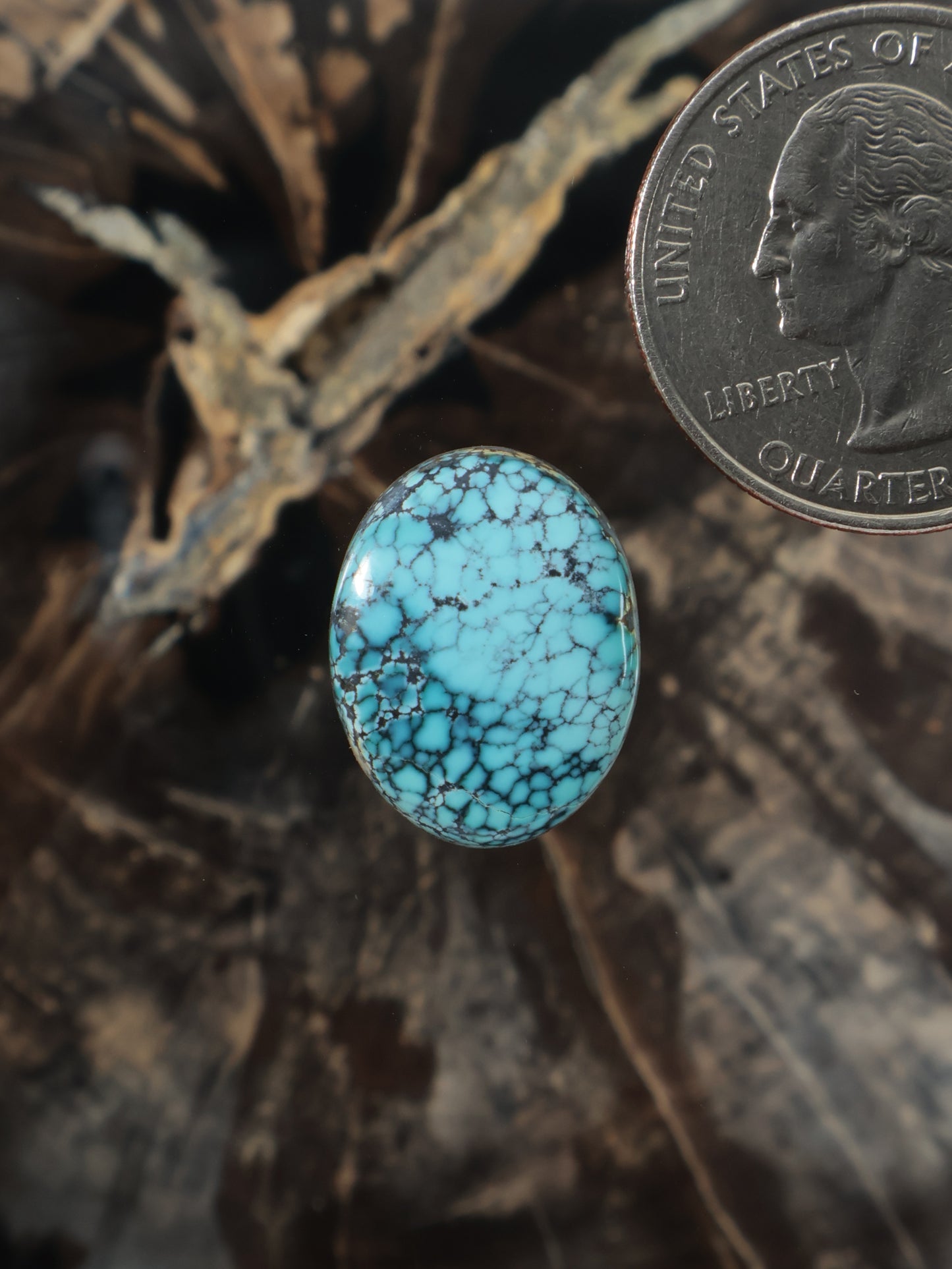 Blue Moon turquoise oval cabochon gemstone with natural web pattern
