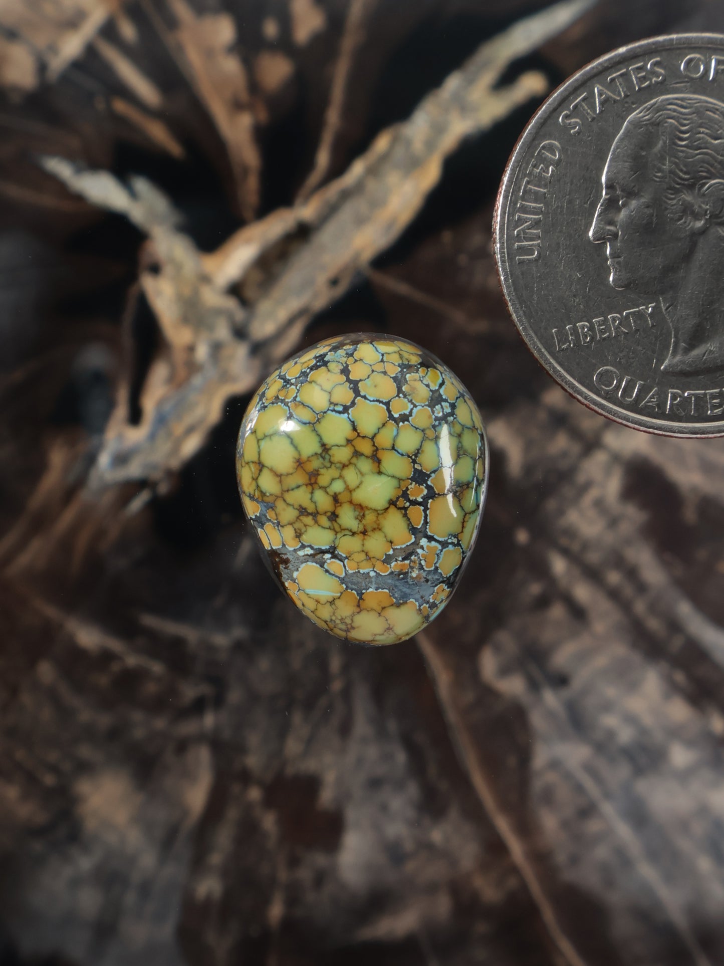 Oval turquoise cabochon gemstone, yellow-green with webbed matrix texture
