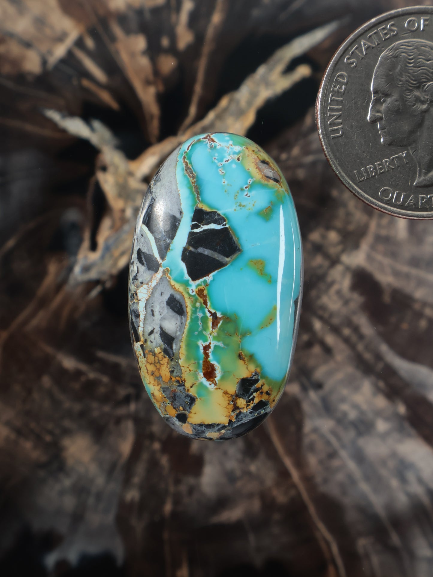 Oval turquoise cabochon with blue-green color, golden-brown matrix, and black veining