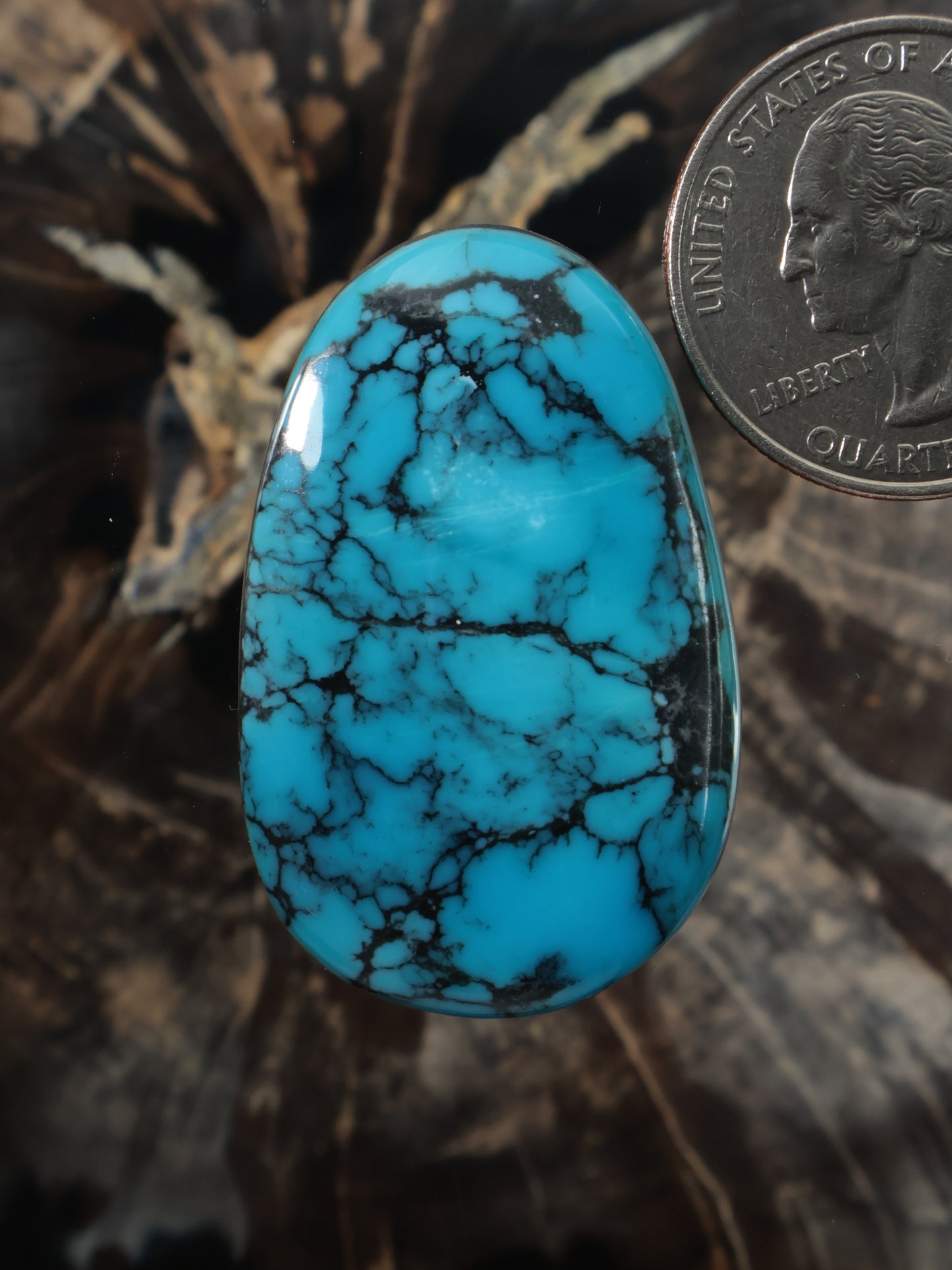 Hubei turquoise oval cabochon with blue body and dark web-like matrix veining