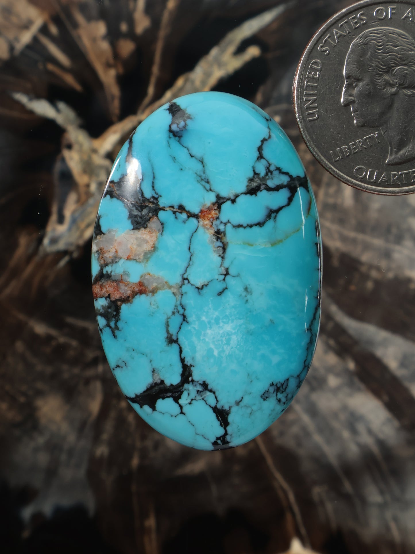 Oval turquoise cabochon with dark veining matrix stone, natural look
