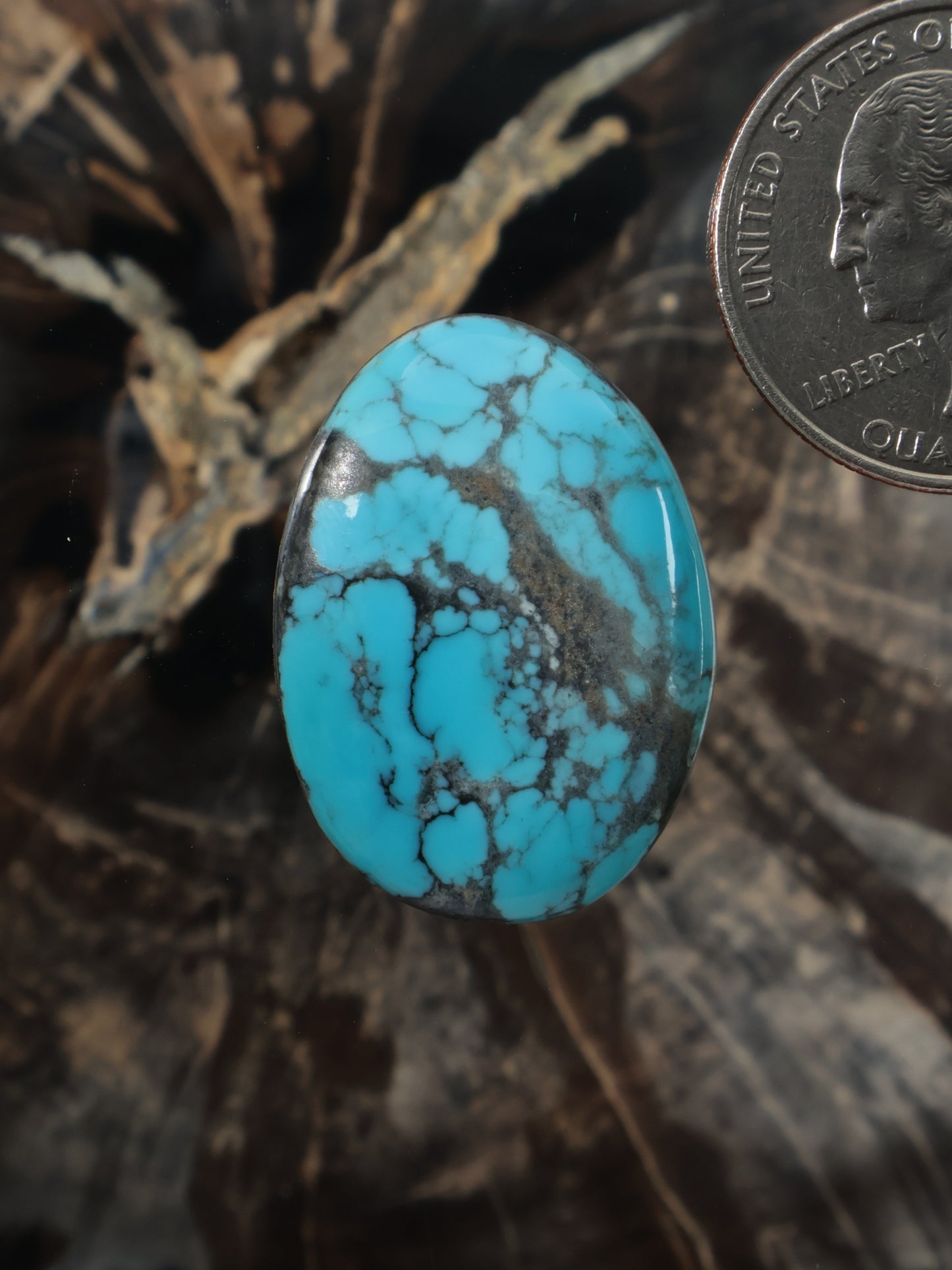 Turquoise oval cabochon with dark veining and natural stone pattern