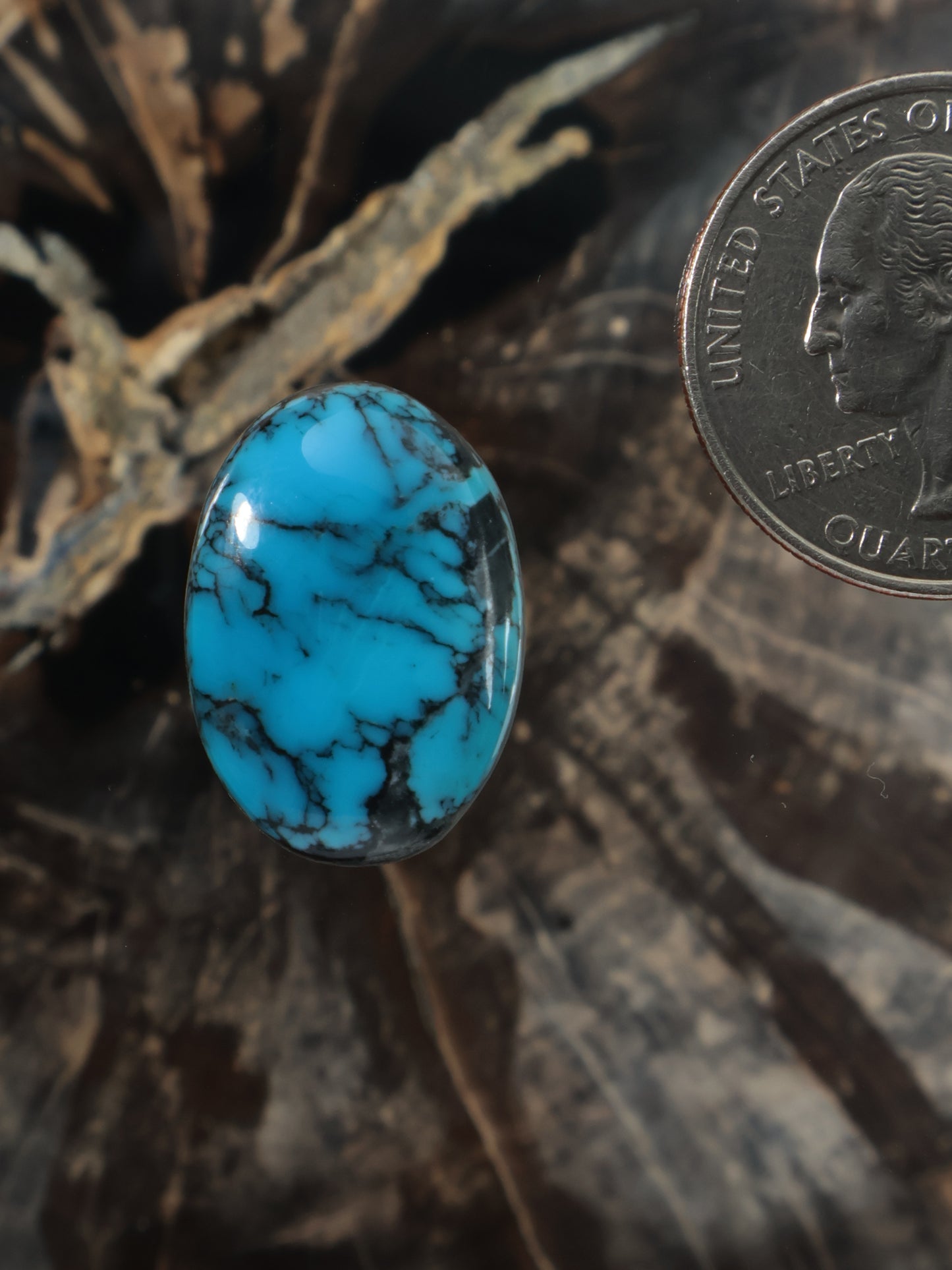 Oval turquoise cabochon with natural black web veining, blue stone gemstone