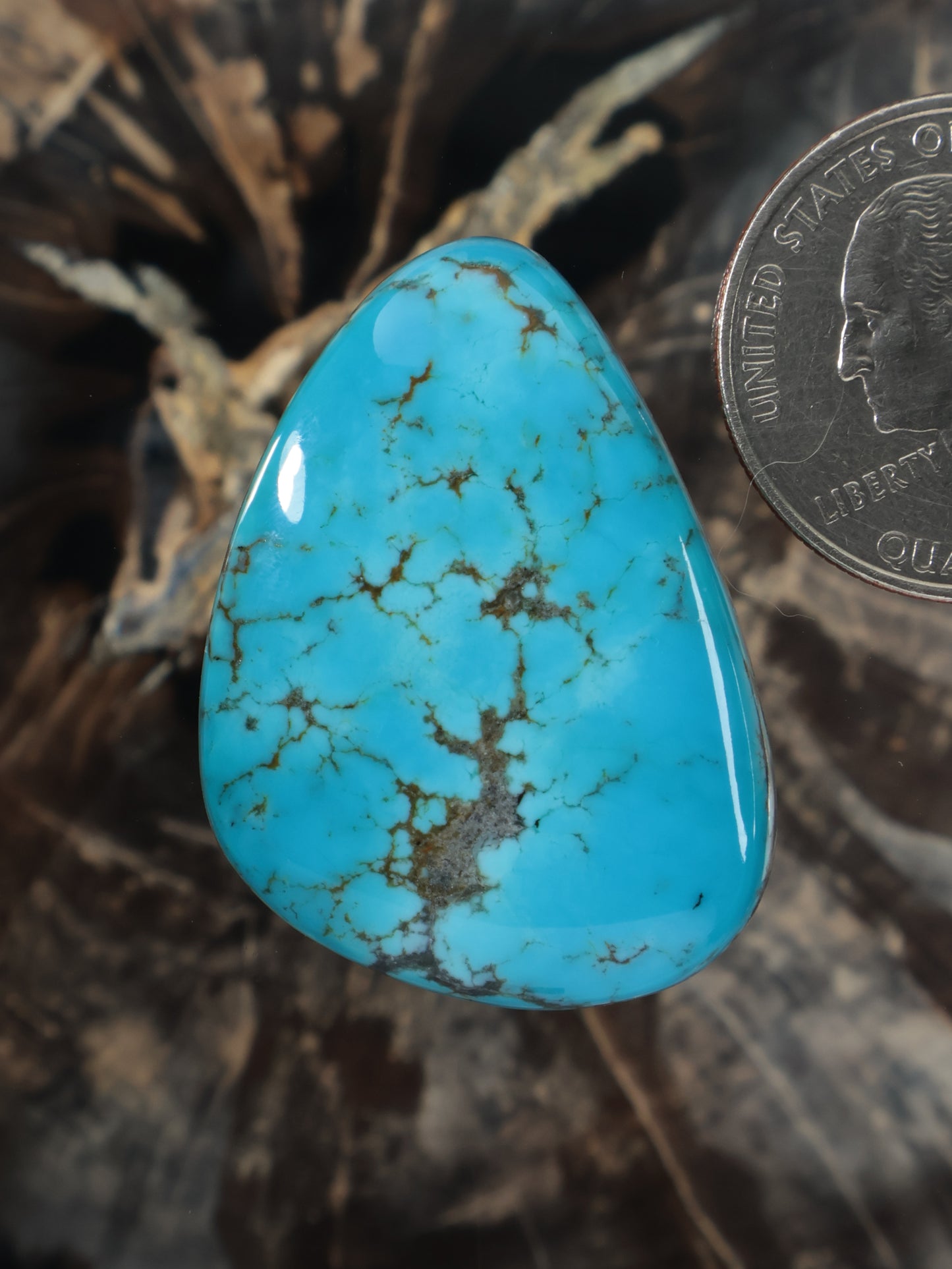 Turquoise teardrop cabochon with brown matrix veining, smooth polished surface
