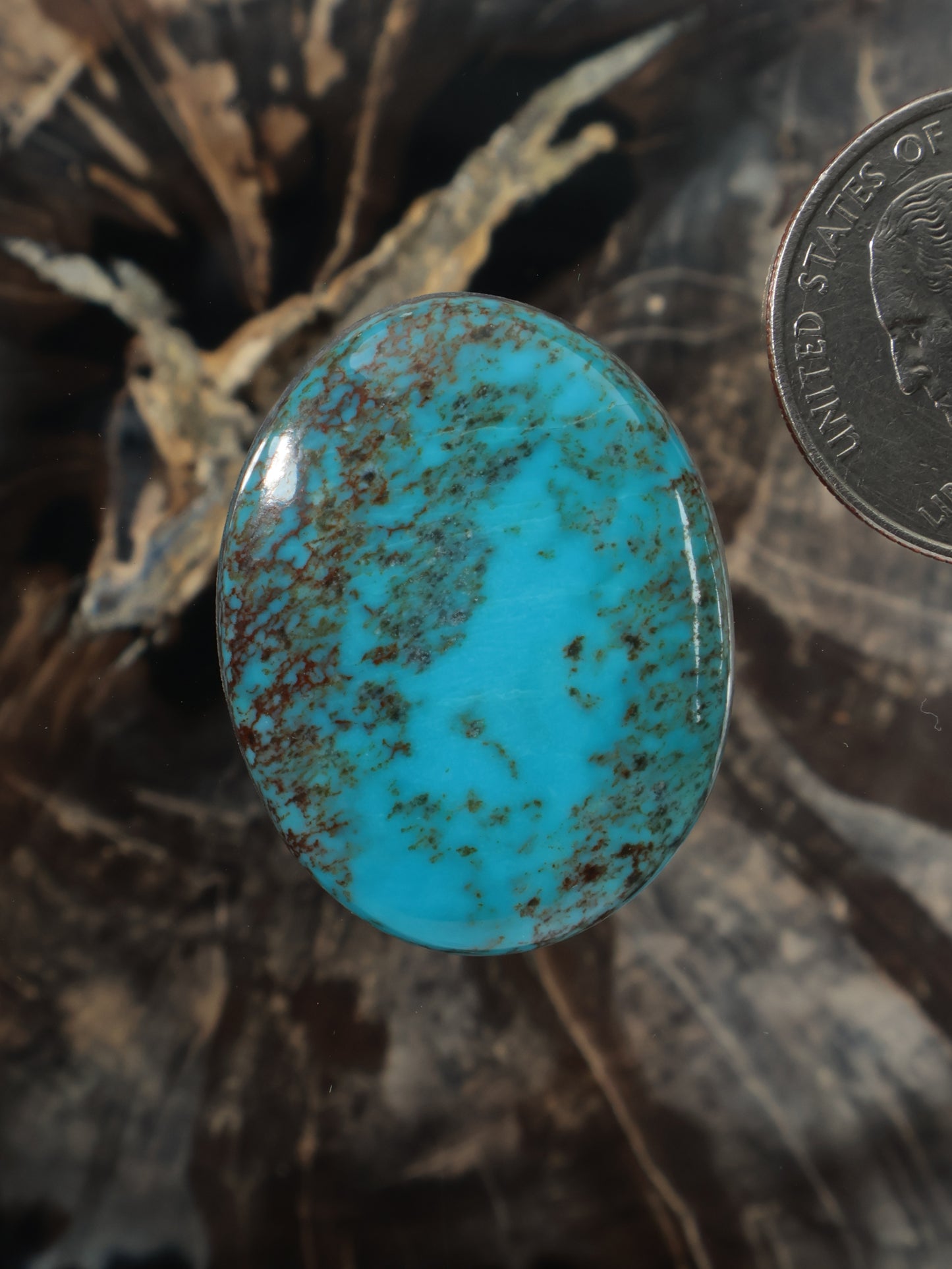 Polished turquoise oval cabochon with dark matrix speckles