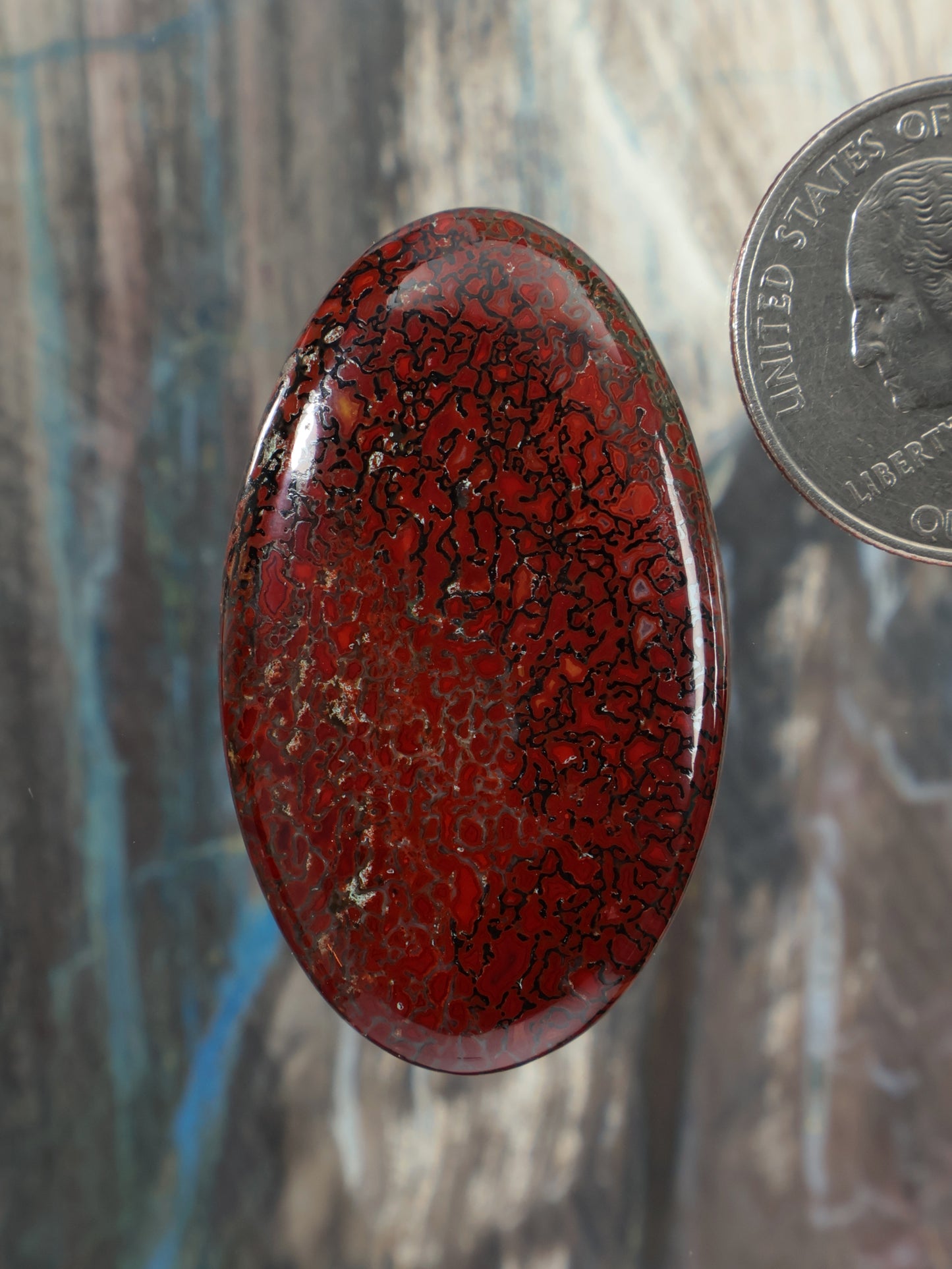 Red gembone oval cabochon with dark veining detail