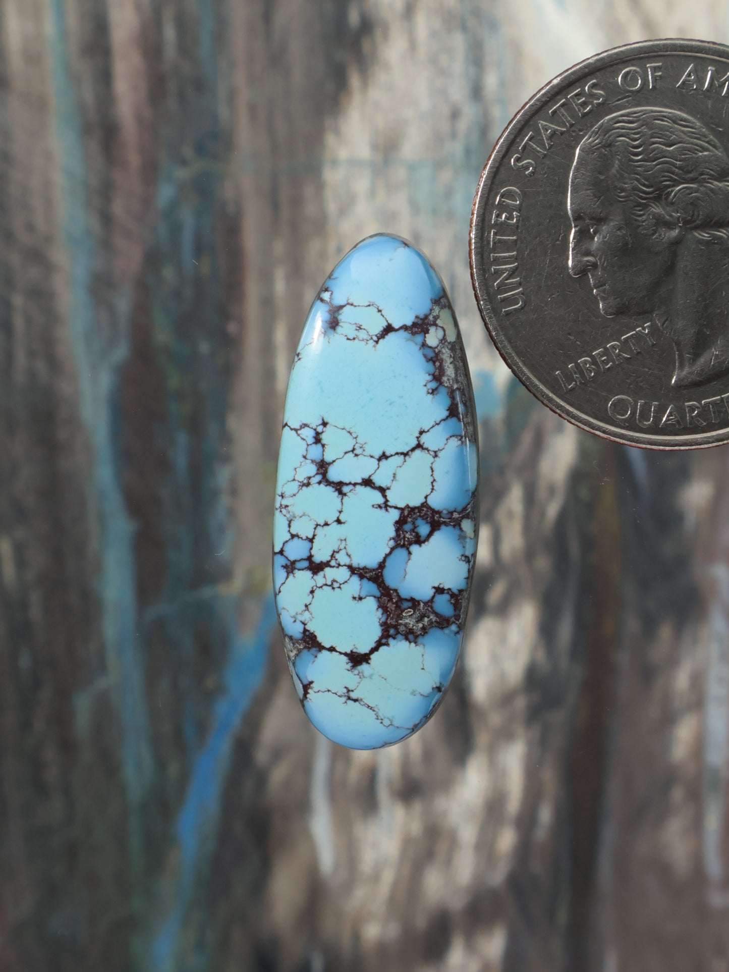 Turquoise blue oval cabochon with dark webbed matrix pattern, close-up