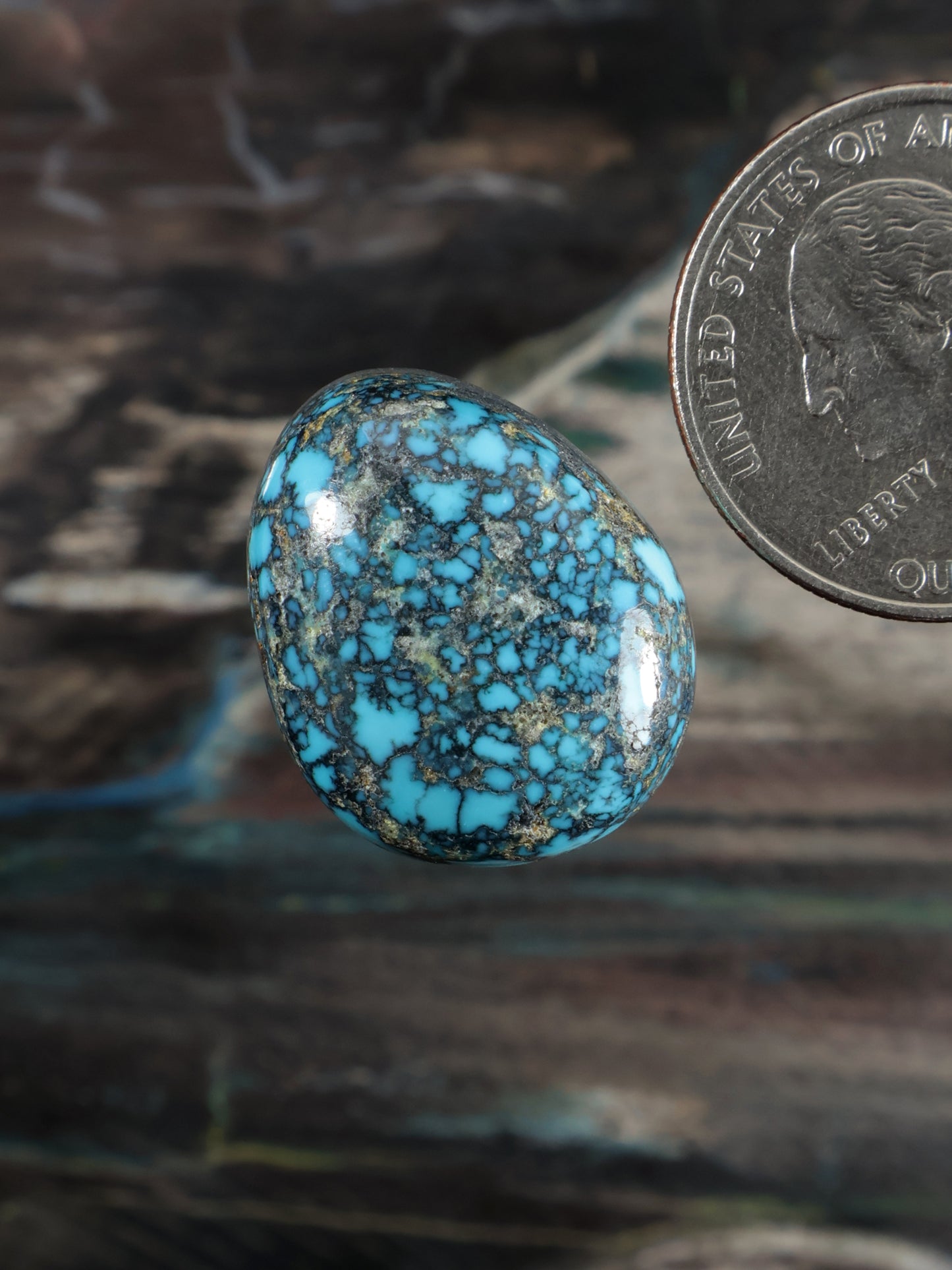 Oval turquoise cabochon gemstone with mottled webbed matrix and smooth silver edge
