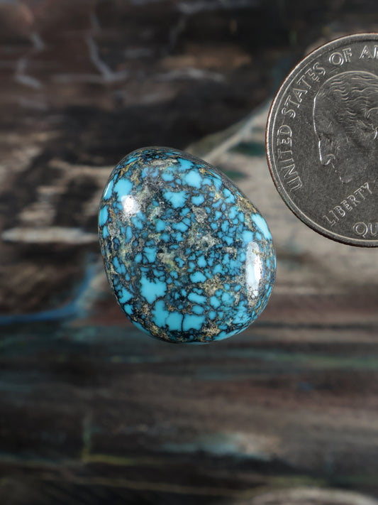 Oval turquoise cabochon gemstone with mottled webbed matrix and smooth silver edge