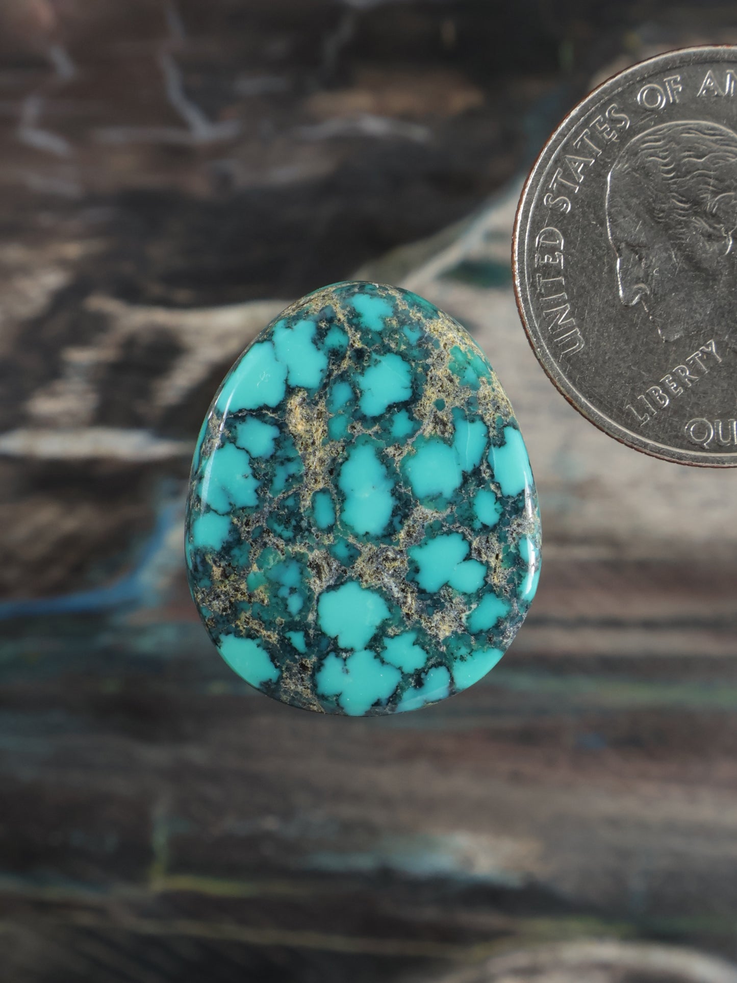 Oval turquoise cabochon gemstone with dark veining, N778