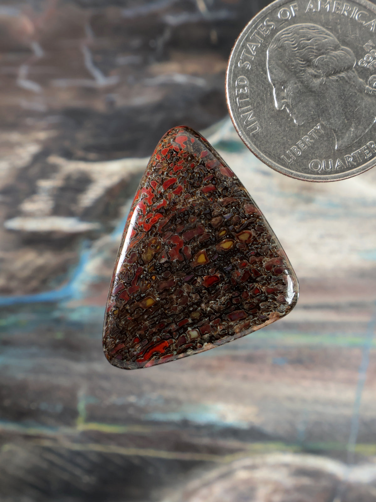 Triangular dinosaur gembone cabochon with red, brown, and black mottled pattern
