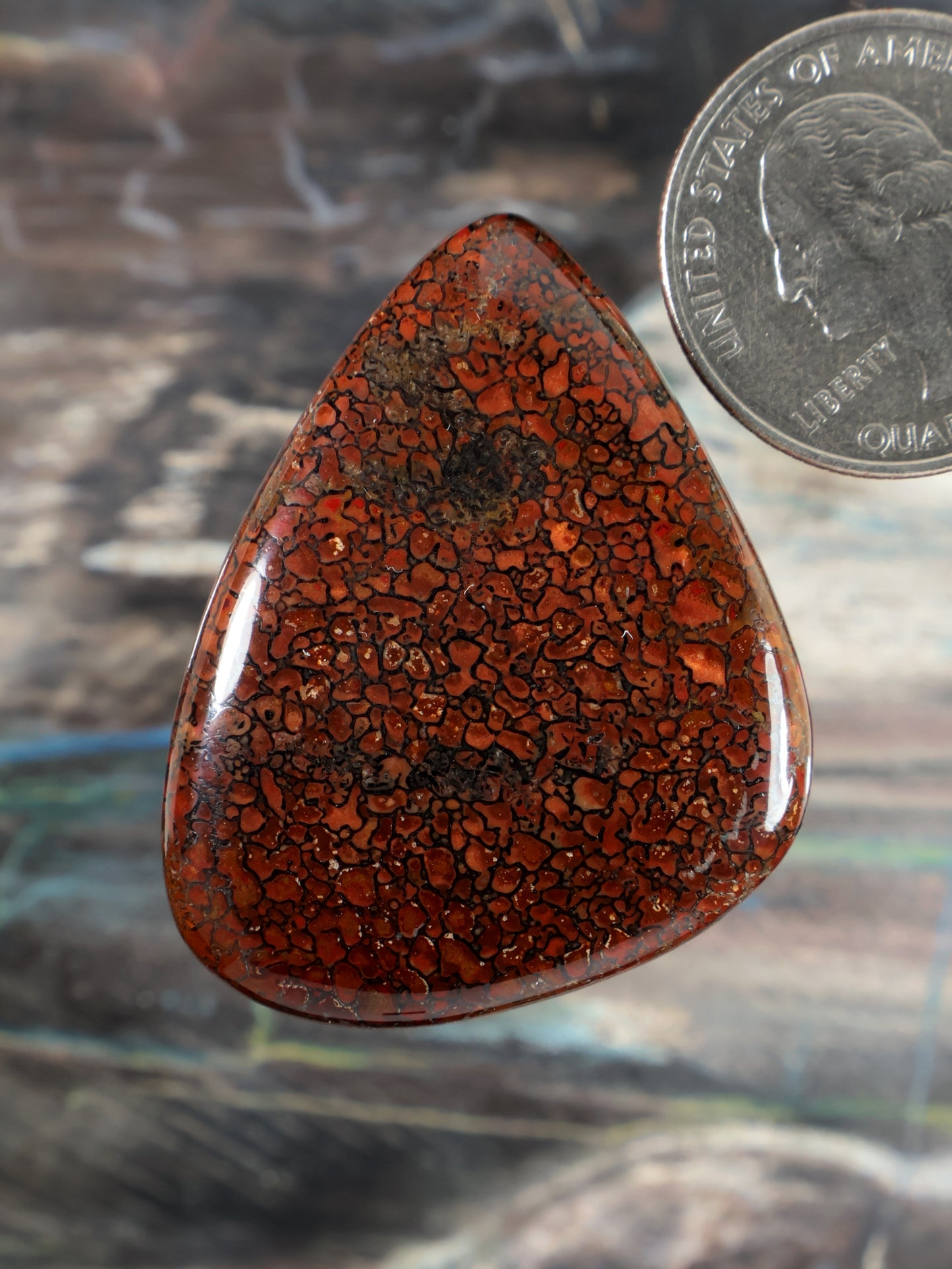 Dinosaur gembone cabochon teardrop with orange-red mottled pattern, polished.
