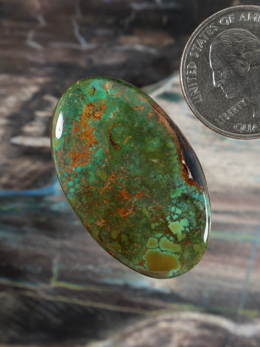 Turquoise cabochon with green and orange-brown web matrix, oval gemstone beside a coin