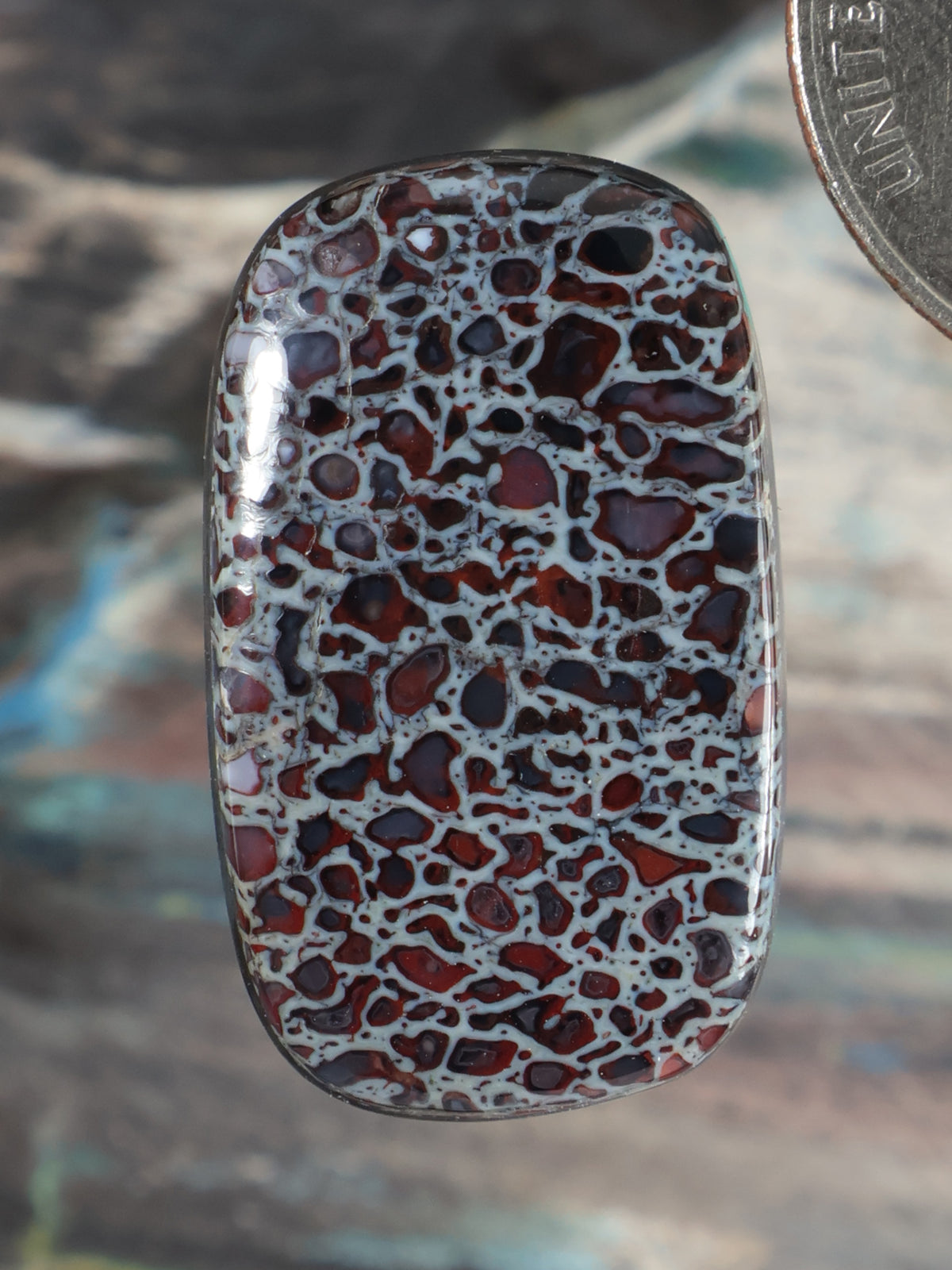 Dinosaur Gembone Cabochon Q072