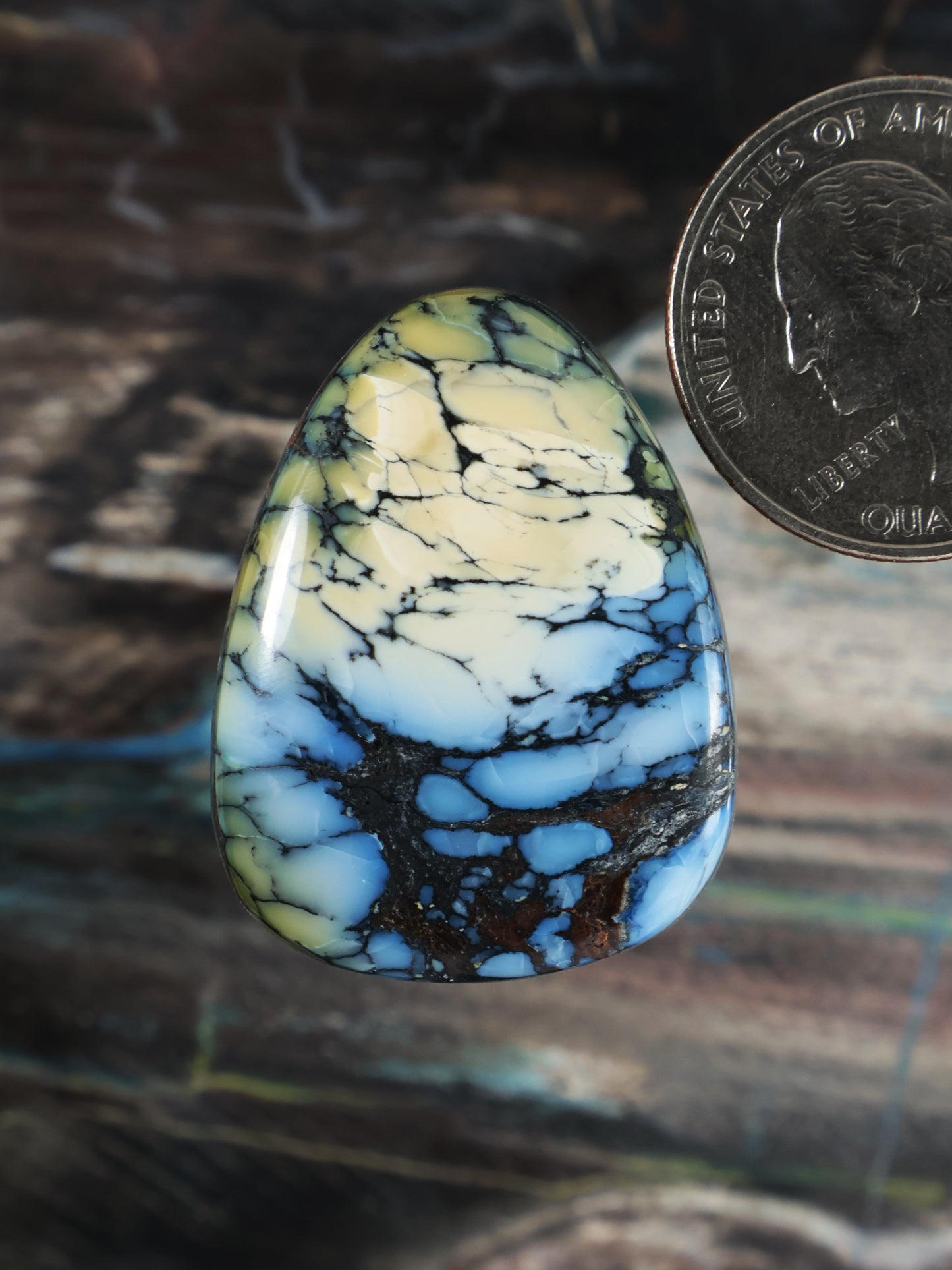 Wild Blue Cabochon Q118