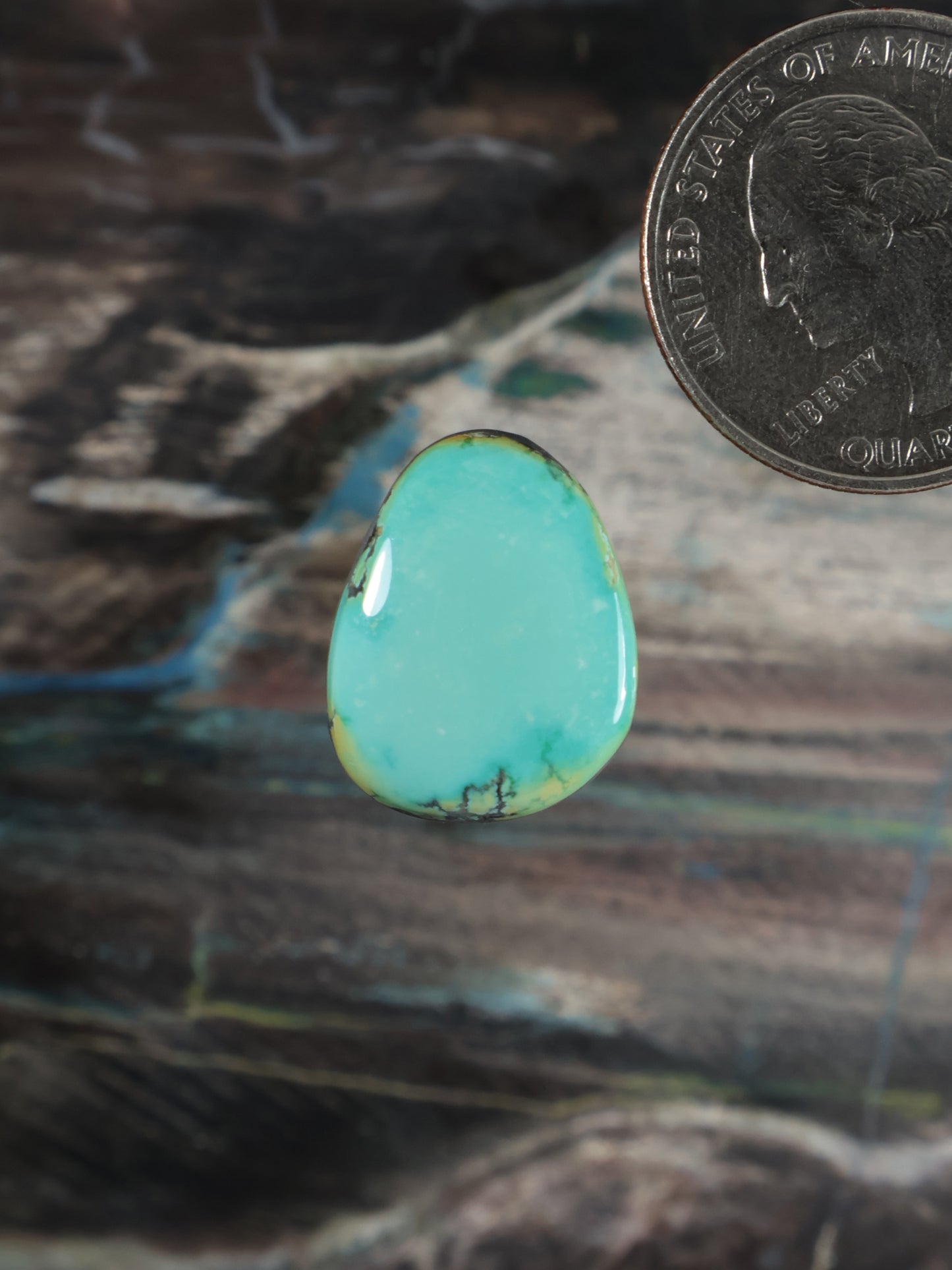 Iron Maiden Turquoise Cabochon Q127