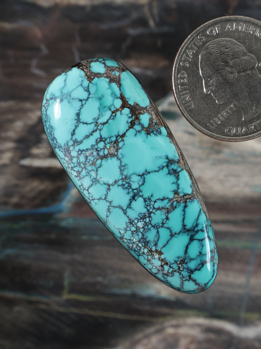 Turquoise spiderweb cabochon gemstone, oval with prominent dark vein network