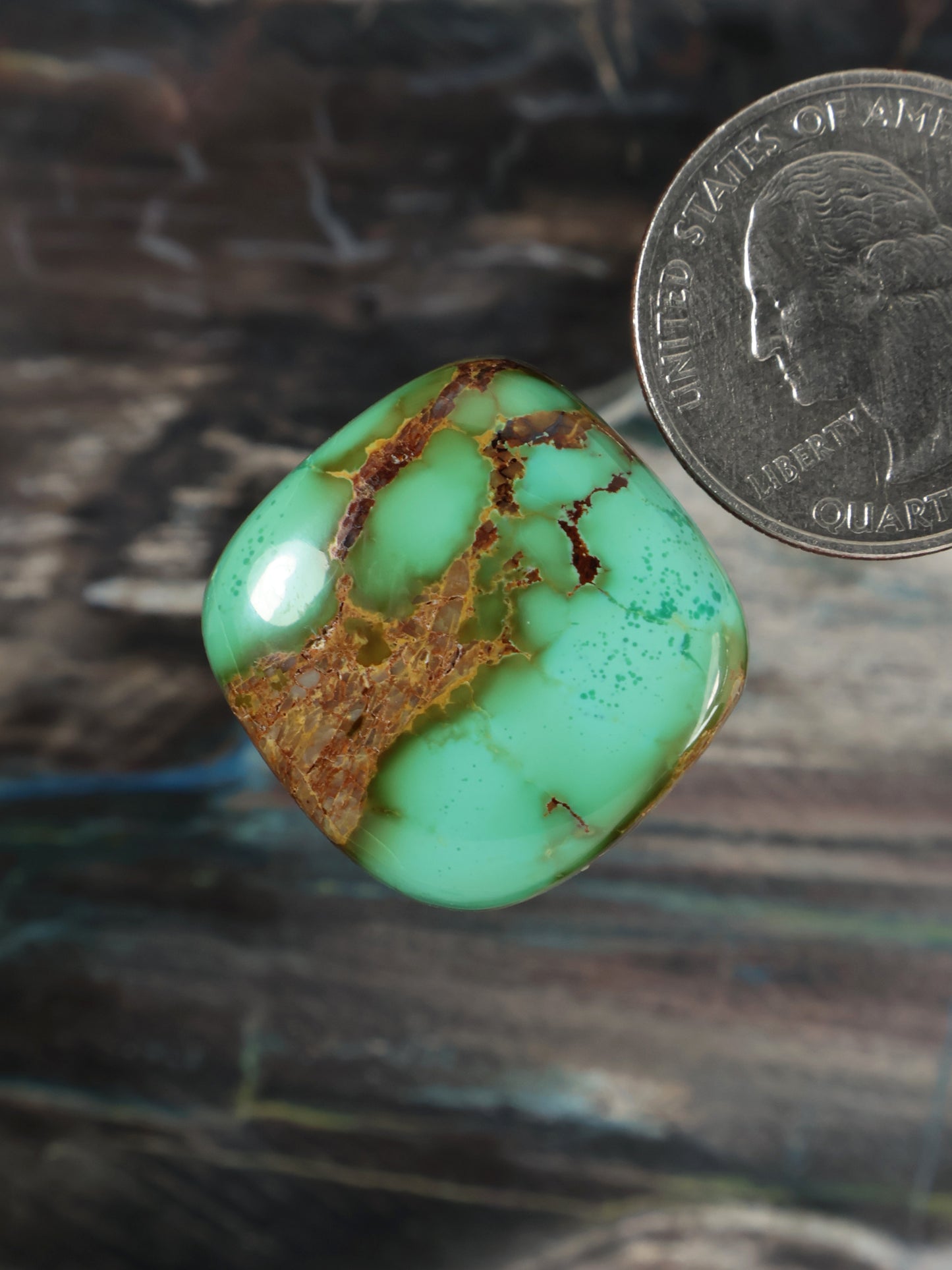 Royston Montezuma Turquoise Cabochon Q074