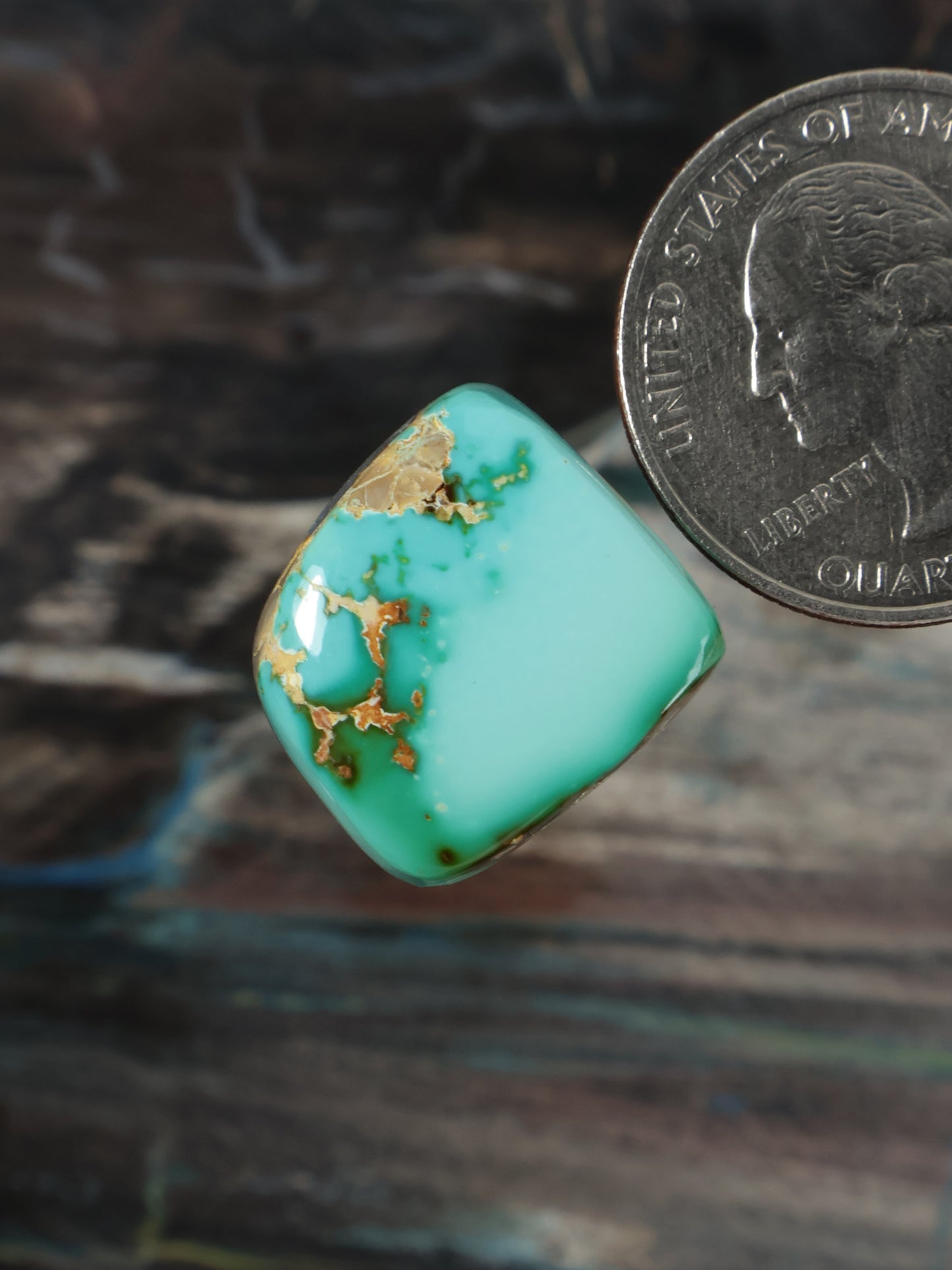 Royston Montezuma Turquoise Cabochon Q076