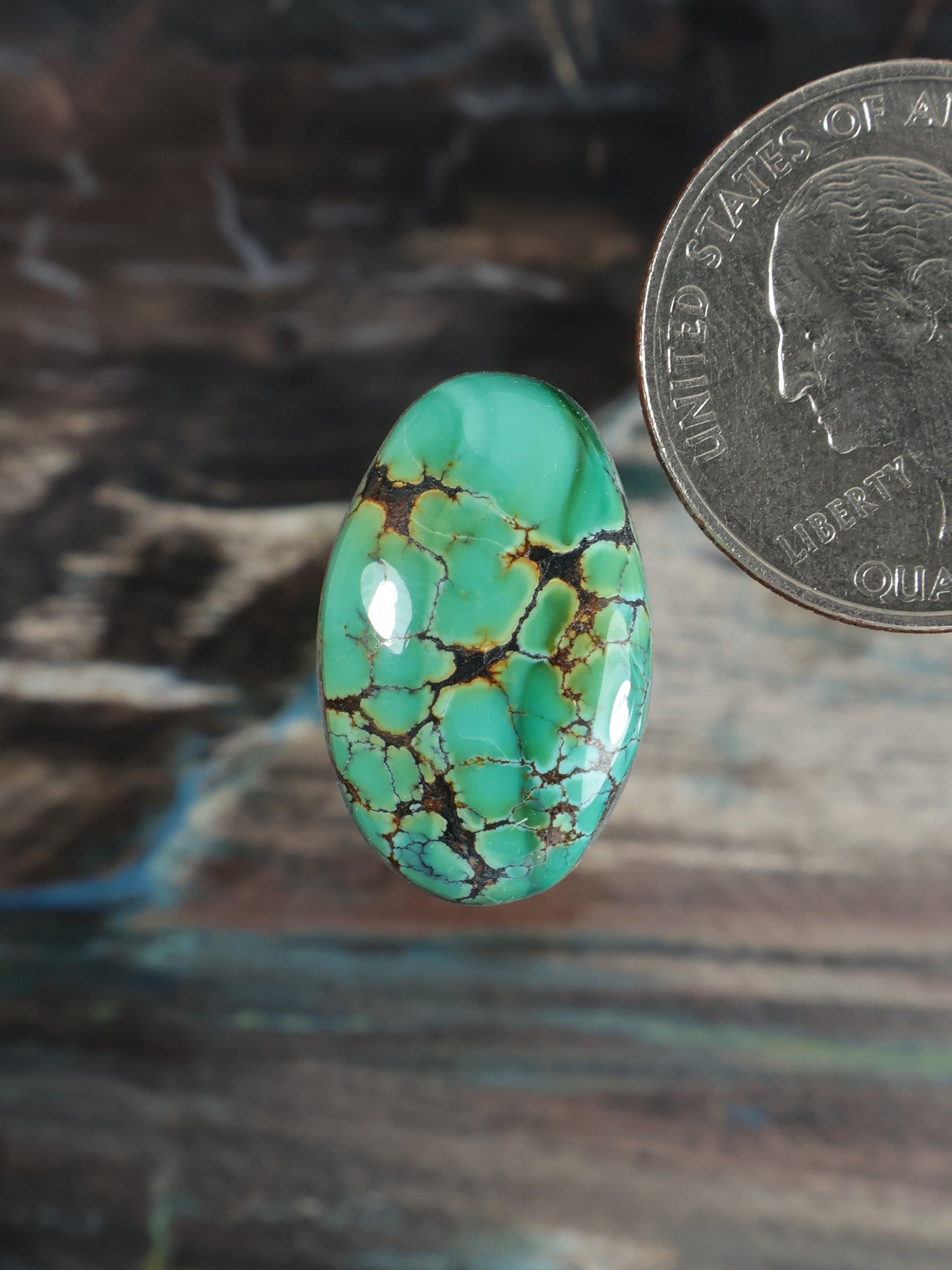 Turquoise oval cabochon gemstone with webbed brown matrix veins