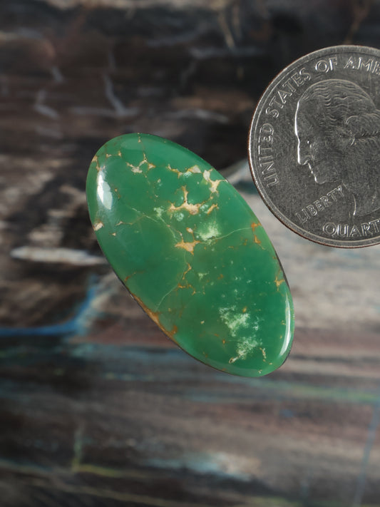 Oval green turquoise cabochon with gold veining, polished gemstone, angled view