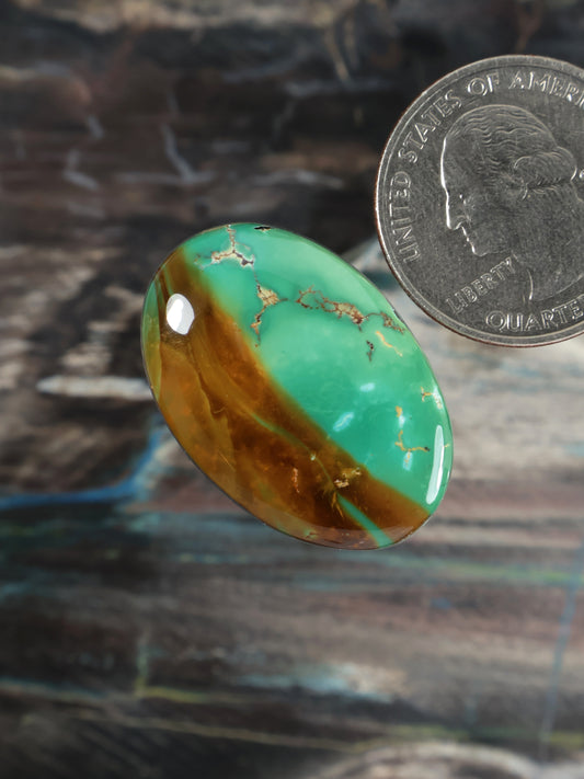 Oval turquoise cabochon gemstone, green face with golden-brown bands and webbed veining