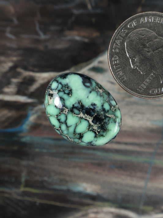 Oval variscite cabochon with webbed black and mint-green turquoise gemstone face