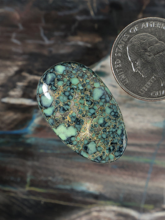 Oval teardrop variscite cabochon with turquoise blue webbed matrix pattern, glossy finish