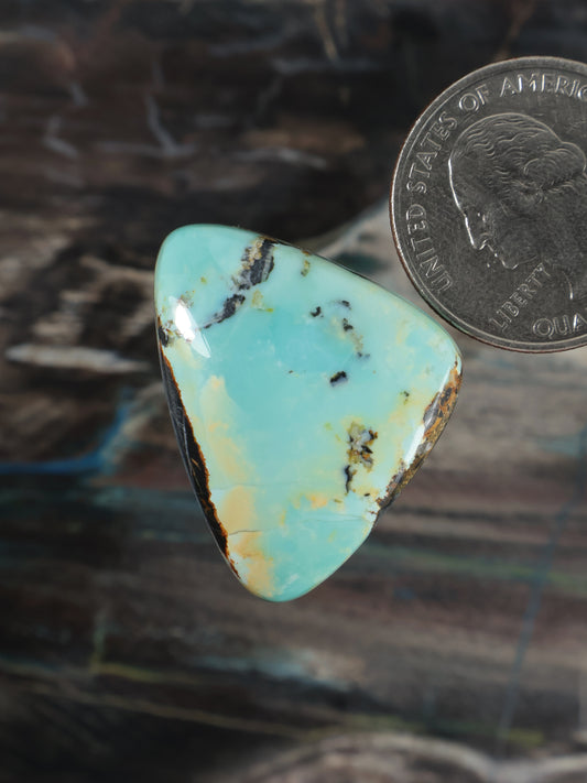 Turquoise oval-triangular cabochon gemstone with dark matrix inclusions