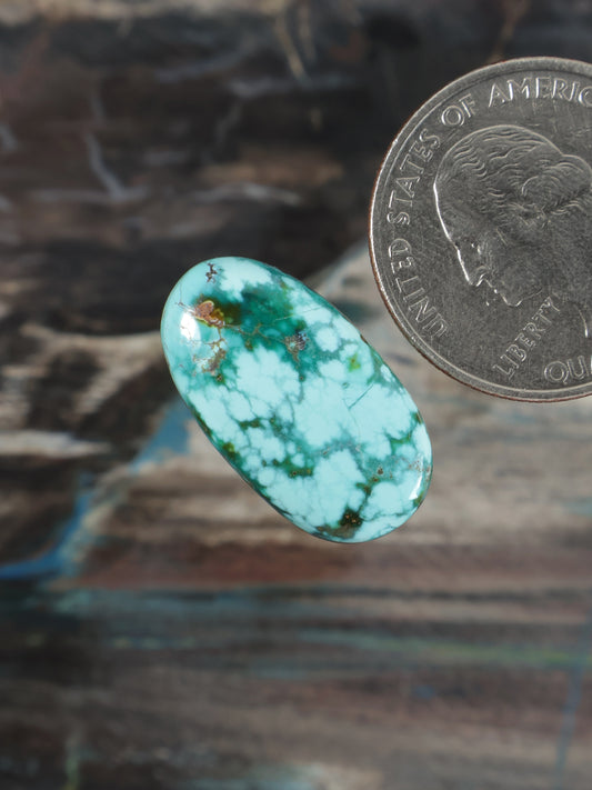 Large oval turquoise cabochon with web-like brown matrix details