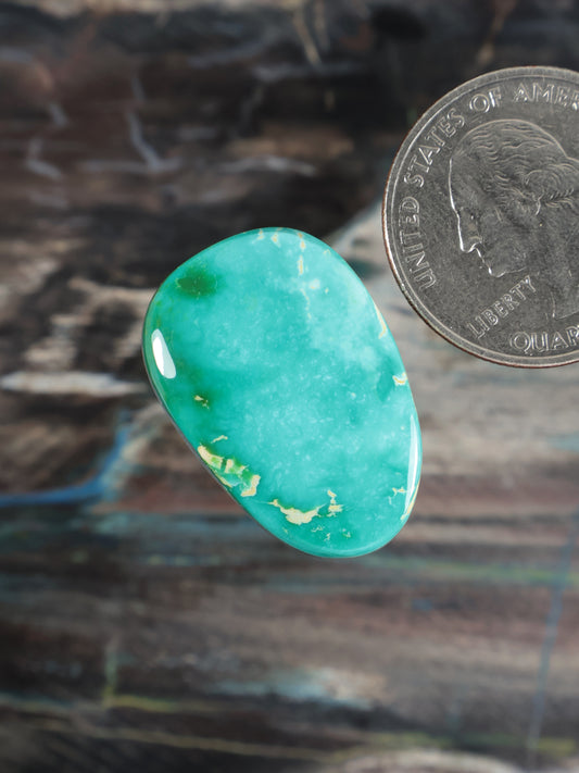 Teal turquoise oval cabochon with marbled white streaks, glossy polished finish