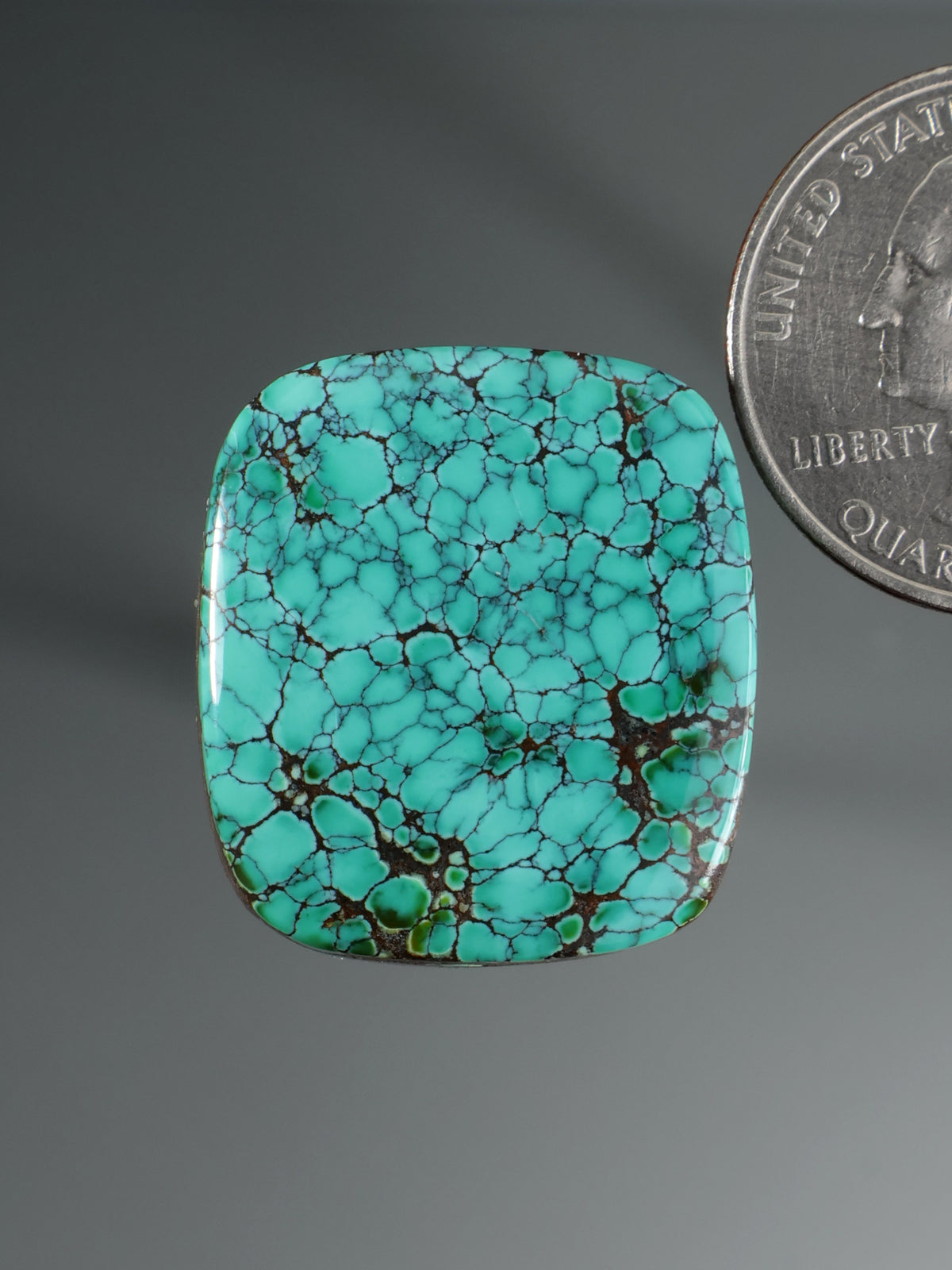 Skyhorse Turquoise Cabochon B159