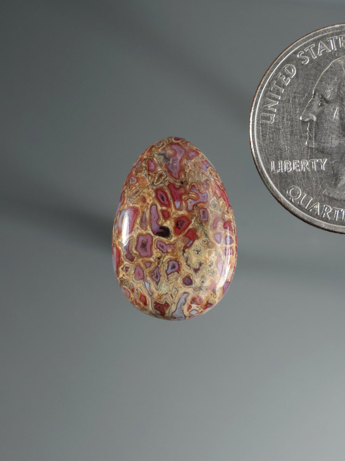 Dinosaur Gembone Cabochon B162