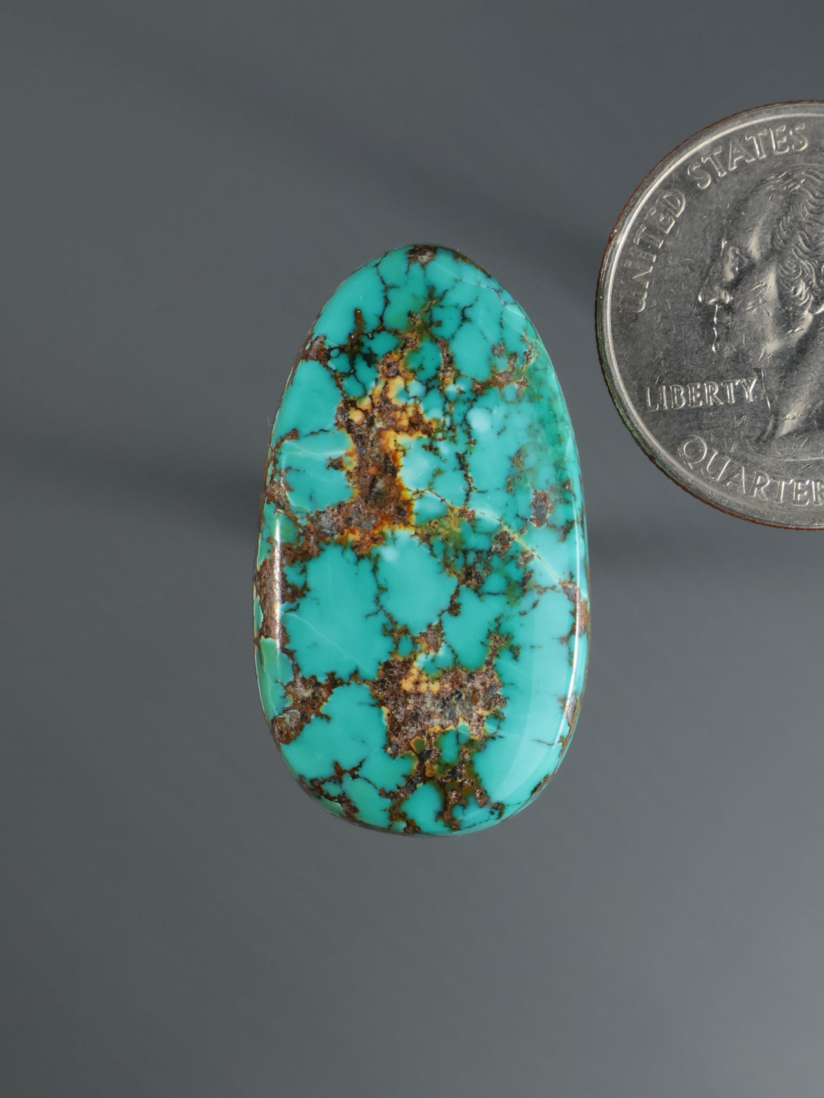 Turquoise oval cabochon gemstone with brown matrix