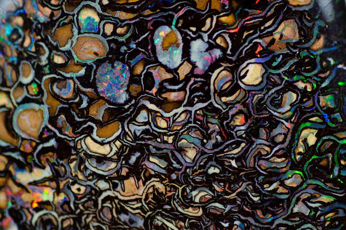 Boulder opal cabochon with maroon-red surface and green highlights, angled long oval shape