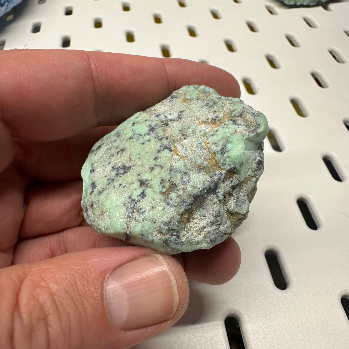 Natural Angel Wing Variscite Rough