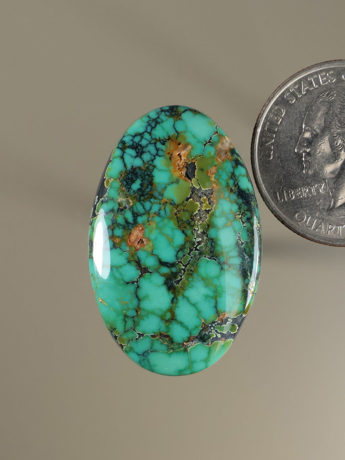 Oval turquoise cabochon gemstone with webbed brown matrix, polished domed face
