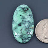 Angel Wing Variscite Cabochon A002