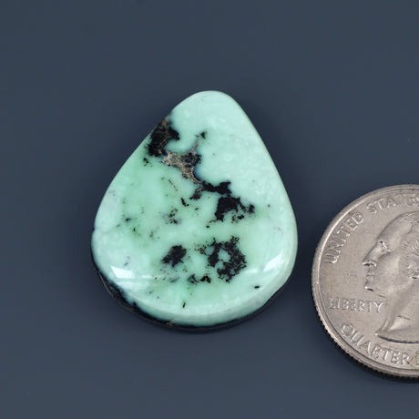 Angel Wing Variscite Cabochon A005