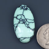 Angel Wing Variscite Cabochon A007