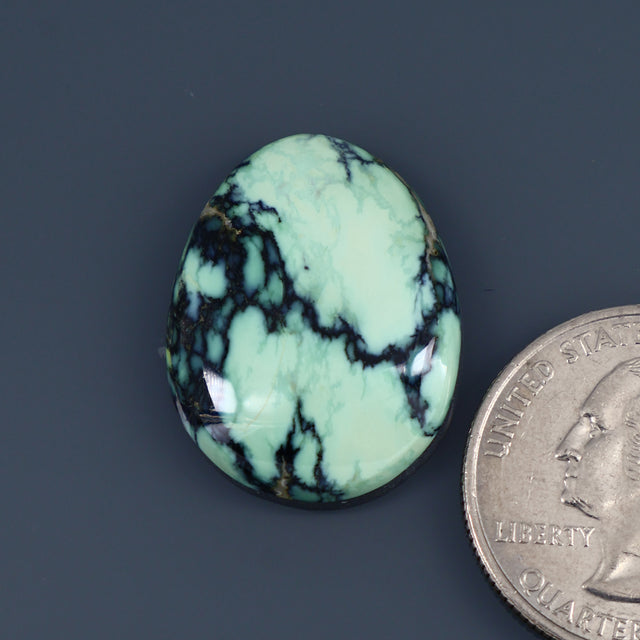 Angel Wing Variscite Cabochon A008