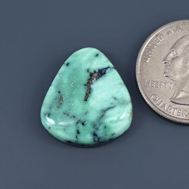 Angel Wing Variscite Cabochon A010