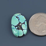 Bao Canyon Turquoise Cabochon A124